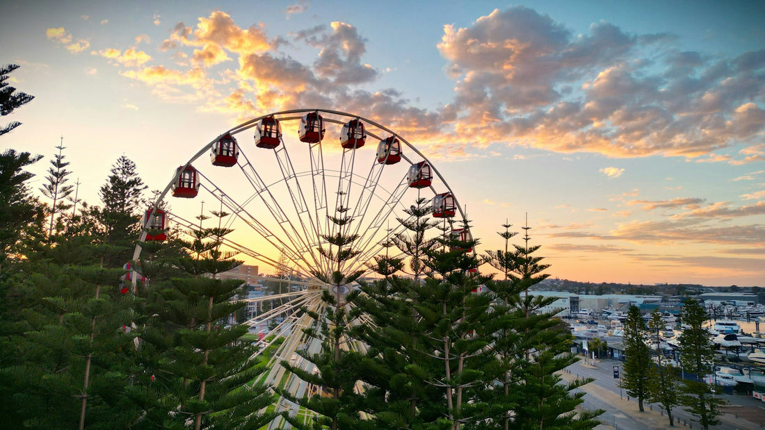 The Fremantle tourist wheel beside Norfolk pines