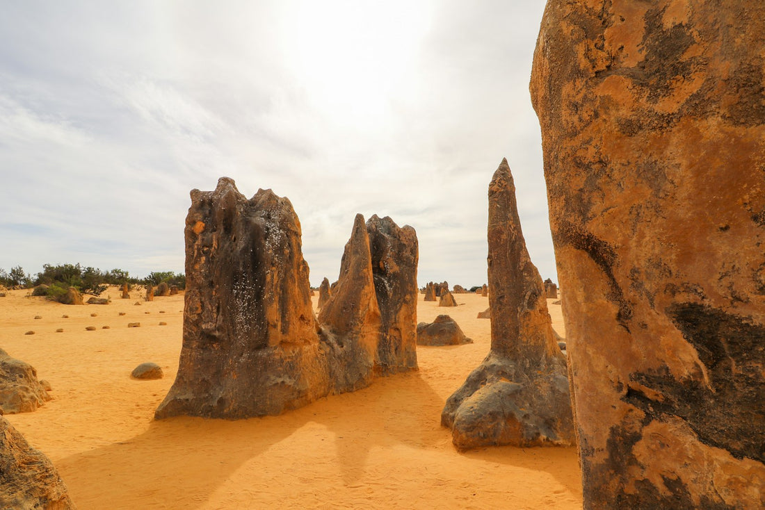 Limestone pillars in the Pinnacles Desert, Western Australia