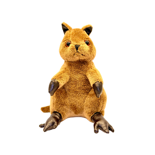 Small Quokka Plush Toy – 17 cm Soft Australian Souvenir